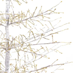Albero Conico Tiglio bianco h 2,3 m, 2432 microled bianco caldo, uso interno