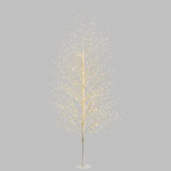 Albero luminoso Tiglio bianco 2 m, 1120 microled bianco caldo, uso interno