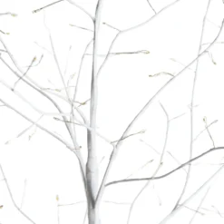 Albero Ramo luminoso Tiglio bianco 2,3 m, 1560 microled bianco caldo, uso interno