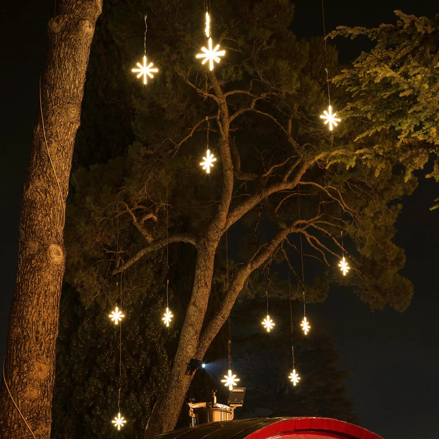 Animated Polar Star 36 cm, Connect ProLine 36V, 76 led SMD bianco caldo, cavo trasparente