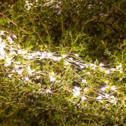 Cascata di luci 3 m, 900 microled bianco caldo