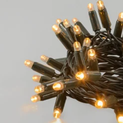 Catena Connect ProLine 36V, 25 m, 250 maxiled bianco caldo, cavo verde, prolungabile