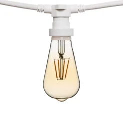 Catena 5 m, 16 lampadine led Edison Ø 64 mm di 4 watt dimmerabili, cavo bianco, prolungabile