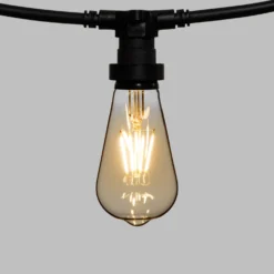 Catena 5 m, 5 lampadine led Edison Ø 64 mm di 4 watt dimmerabili, cavo nero, prolungabile