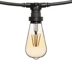 Catena 5 m, 5 lampadine led Edison Ø 64 mm di 4 watt dimmerabili, cavo nero, prolungabile