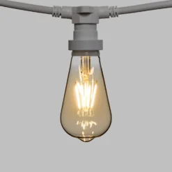 Catena 5 m, 5 lampadine led Edison Ø 64 mm di 4 watt dimmerabili, cavo bianco, prolungabile