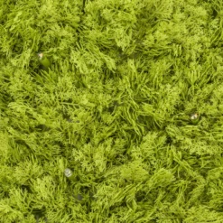 Pannello di Lichene artificiale verde acido Green Wall Light, 16 maxiled Dual Color bianco caldo